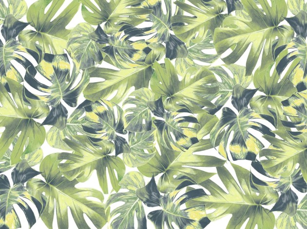 Fototapeta Rebel Walls Welcome To The Jungle R13041-8