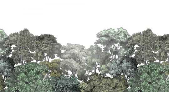 Fototapeta Rebel Walls Bellewood R13051-8