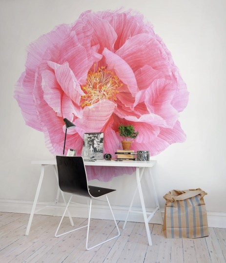 Rebel Walls R13161 Greenhouse Poppy Art - mural w kwiat w makro wydaniu