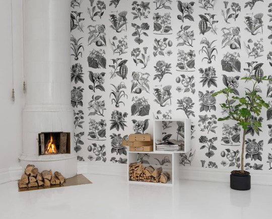 Fototapeta Rebel Walls Fruit & Flora R13171-4