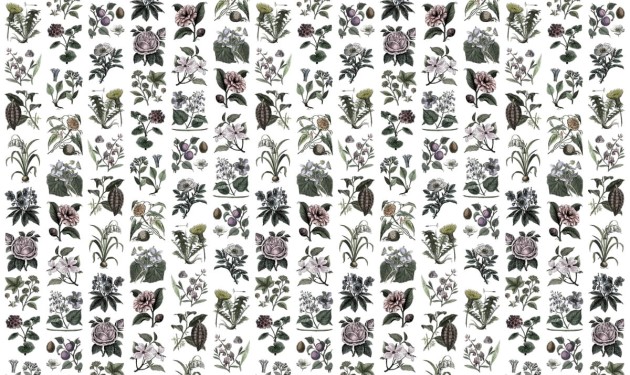 Fototapeta Rebel Walls Fruit & Flora - Color R13172-4