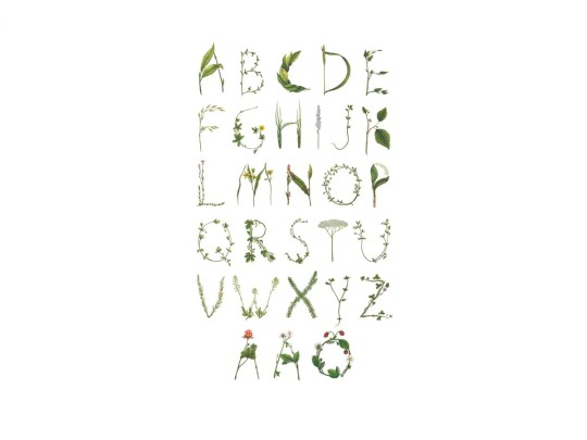 Fototapeta Rebel Walls ABC for the swedish bee R13193-4