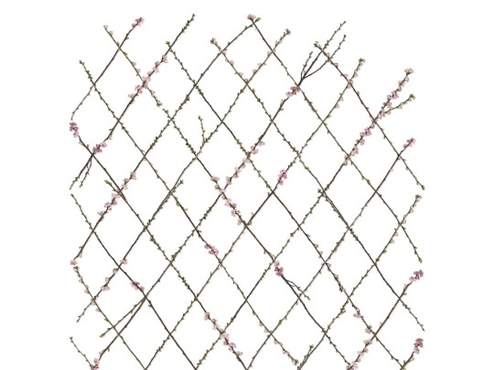 Fototapeta Rebel Walls Winding Spring R13221-6