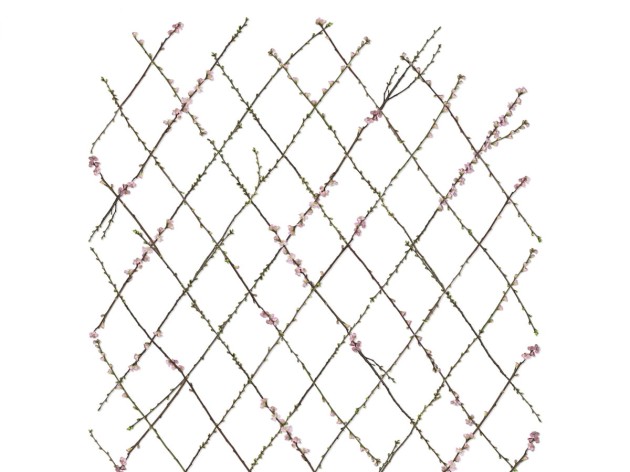 Fototapeta Rebel Walls Winding Spring R13221-6
