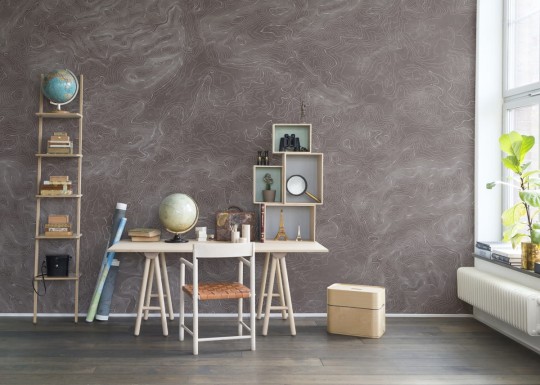Rebel Walls R14073 Passion Elevation Lines - mural w poziomice