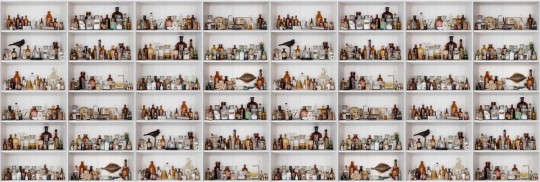 Fototapeta Rebel Walls Cabinet of Curios R14181