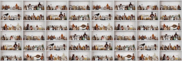 Fototapeta Rebel Walls Cabinet of Curios R14181