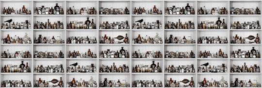 Fototapeta Rebel Walls Cabinet of Curios, Raw R14182
