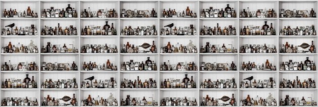 Fototapeta Rebel Walls Cabinet of Curios, Raw R14182