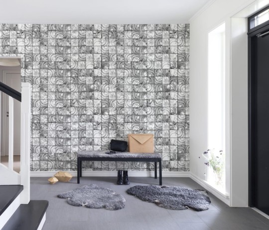 Fototapeta Rebel Walls Age Rings R14241