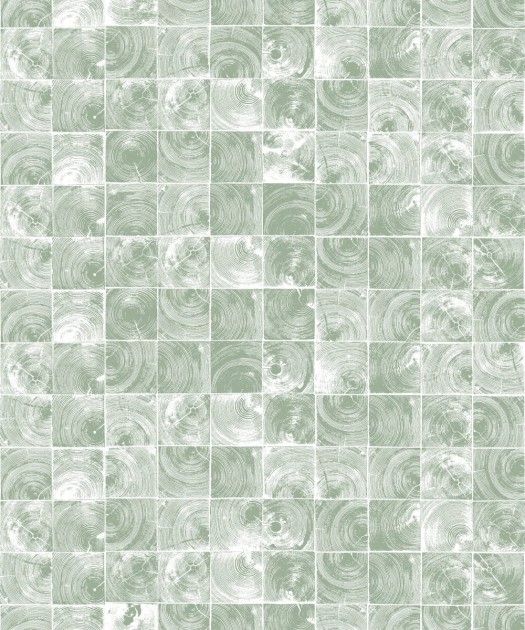 Fototapeta Rebel Walls Age Rings, Green R14242