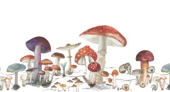 a8b5871aa6ba36436b1f8fb17c5004b6