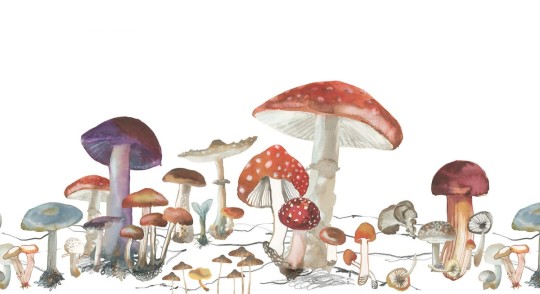 Fototapeta Rebel Walls Woods of Wonder  R14481