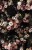 bd6b60723d420597b575dceedcb83f67