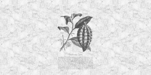Fototapeta Rebel Walls Noble Marble, Cacao  R14683