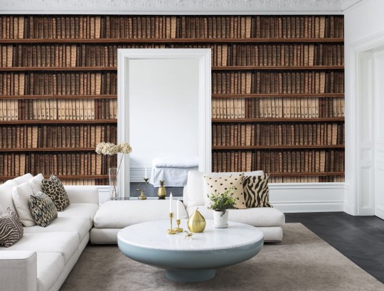 Fototapeta Rebel Walls Antique Books R15041