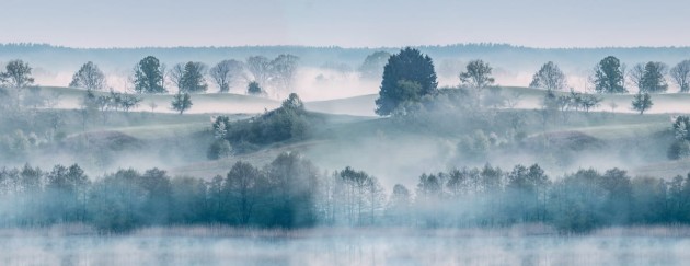 Fototapeta Rebel Walls Morning Haze R15291