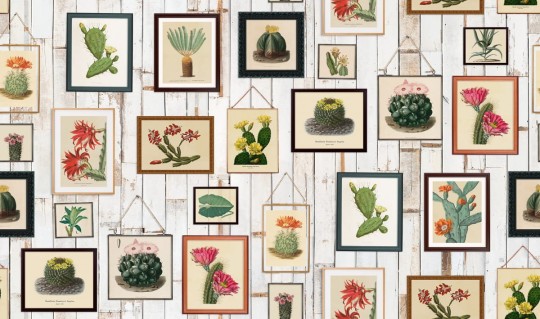 Fototapeta Rebel Walls Cactus Wall Art R15321