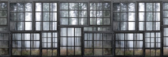 Fototapeta Rebel Walls Cabin R15341