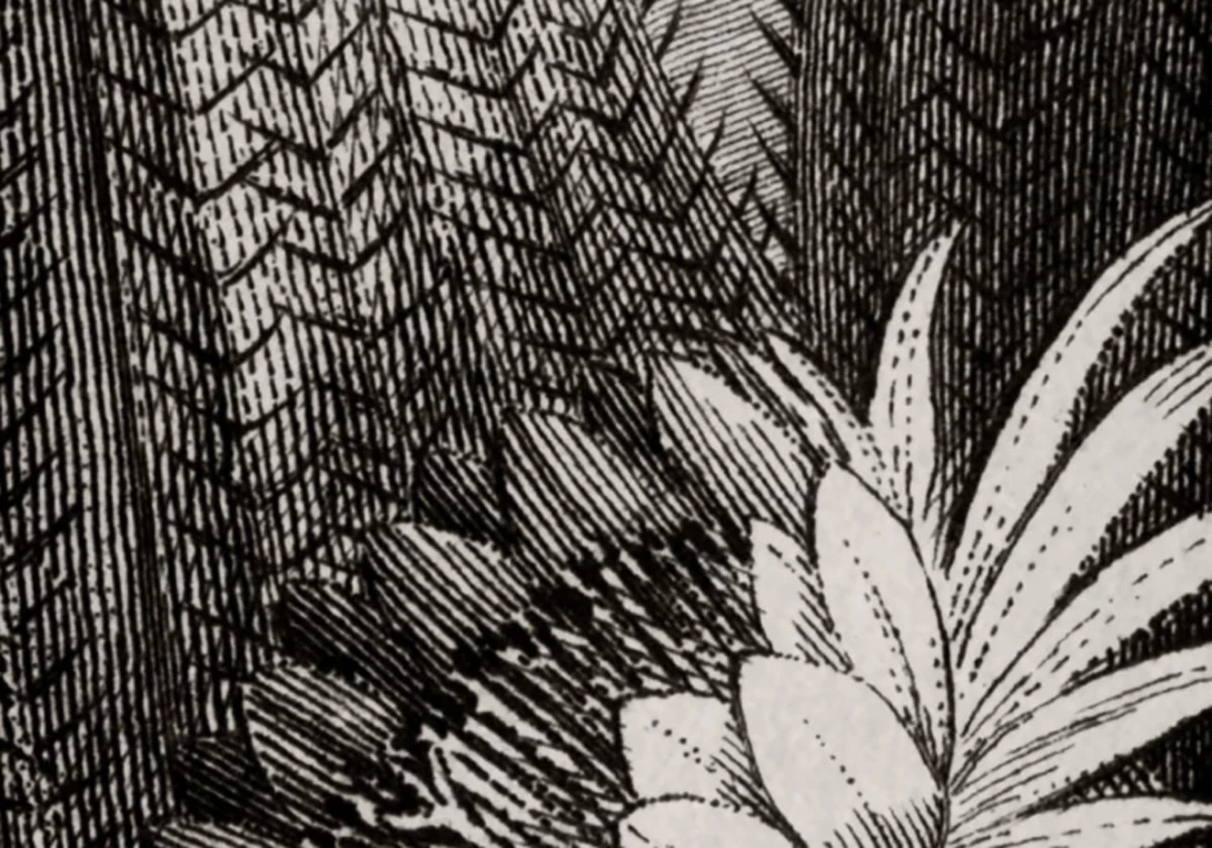 Fototapeta Rebel Walls Cactus Garden R15741