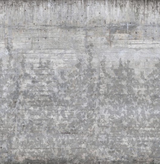 Fototapeta Rebel Walls Climbing Clorofyl, Shadow R13994