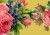 4199d8c2eb3f4b105e8db1910f644fef