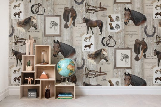Fototapeta Rebel Walls Horse Mania R15551