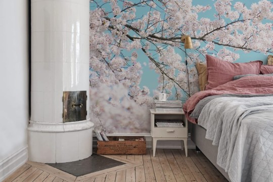 Fototapeta Rebel Walls Cherry Tree R15541