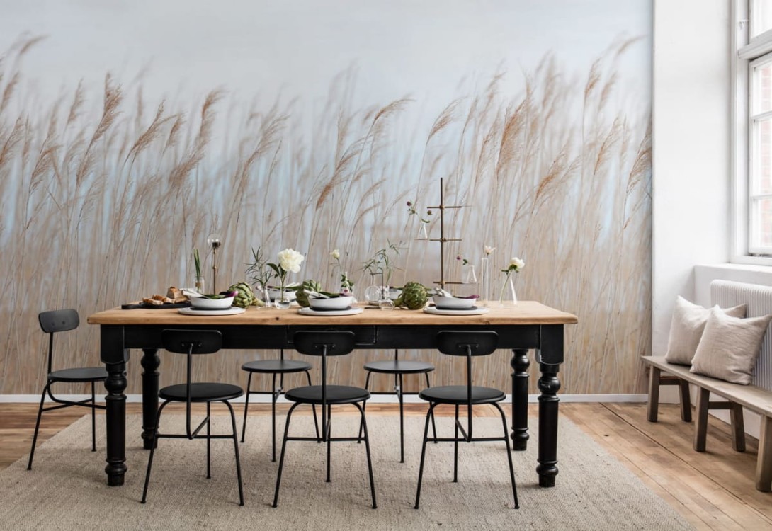 Fototapeta Rebel Walls Swaying Reed R13602