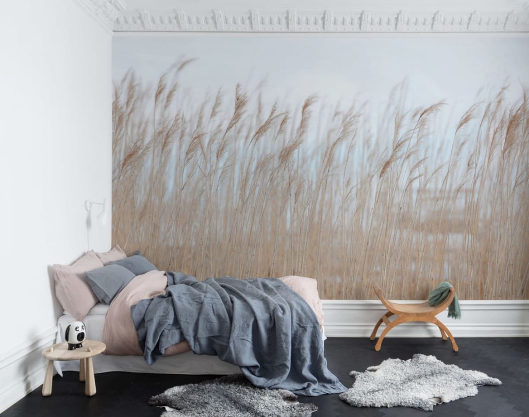 Fototapeta Rebel Walls Swaying Reed R13602