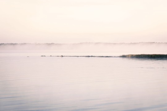 Fototapeta Rebel Walls Misty Water R13301