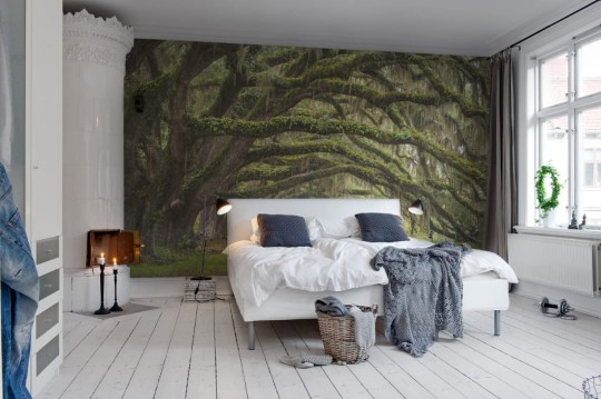 Fototapeta Rebel Walls Fairy Forest R12481