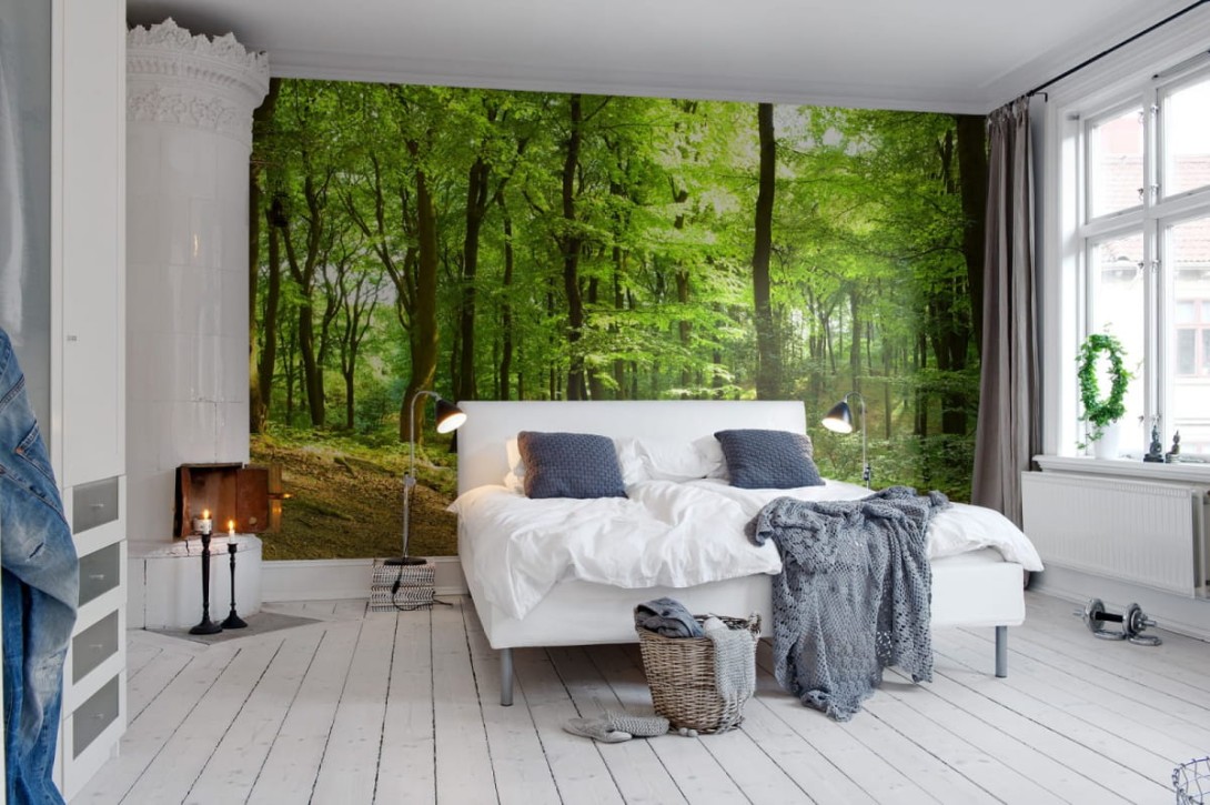 Fototapeta Rebel Walls Forrest R10141