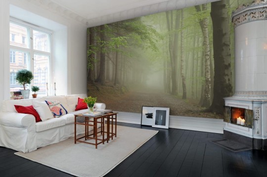 Fototapeta Rebel Walls Forest Path R12471