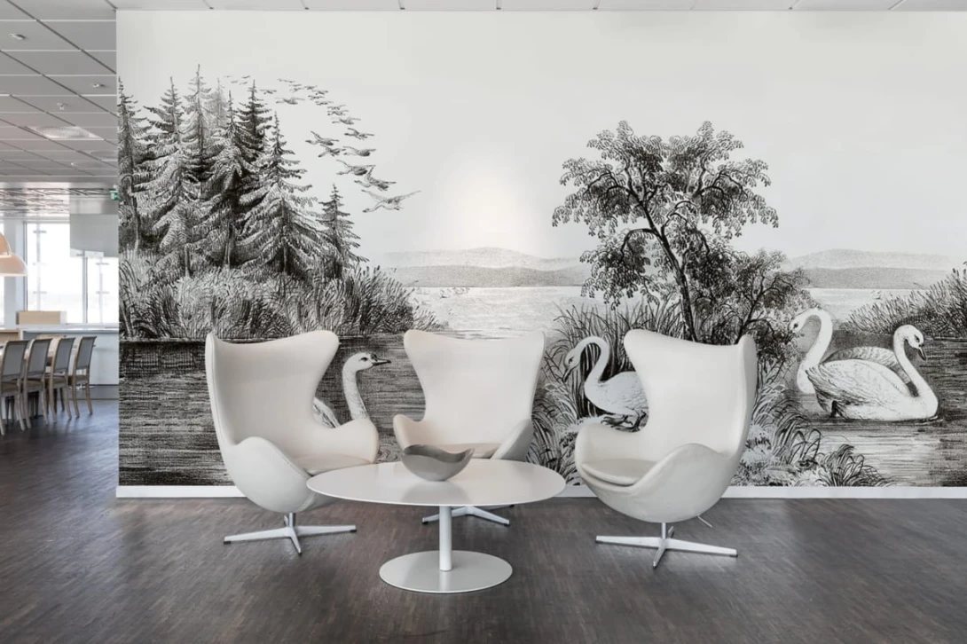 Fototapeta Rebel Walls Swan Lake R16221