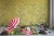 b818d10ed5c262667561cbd750907a1b