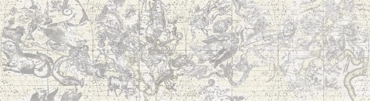 Fototapeta Rebel Walls Star Map White R16922