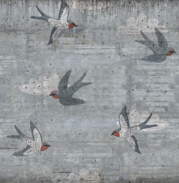Fototapeta Rebel Walls Concrete Art Swallow R16971