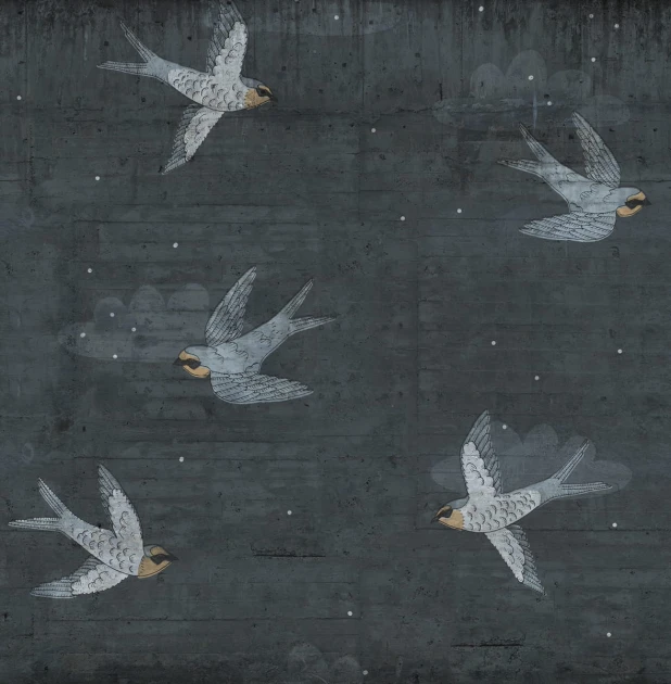 Fototapeta Rebel Walls Concrete Art Night Swallow R16972