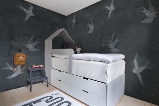 Fototapeta Rebel Walls Concrete Art Night Swallow R16972