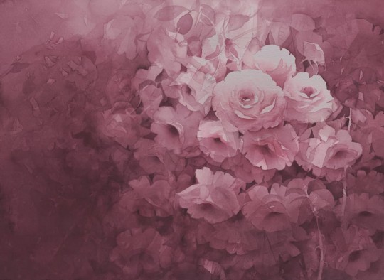 Fototapeta Rebel Walls R17071 Harmony, Fuchsia