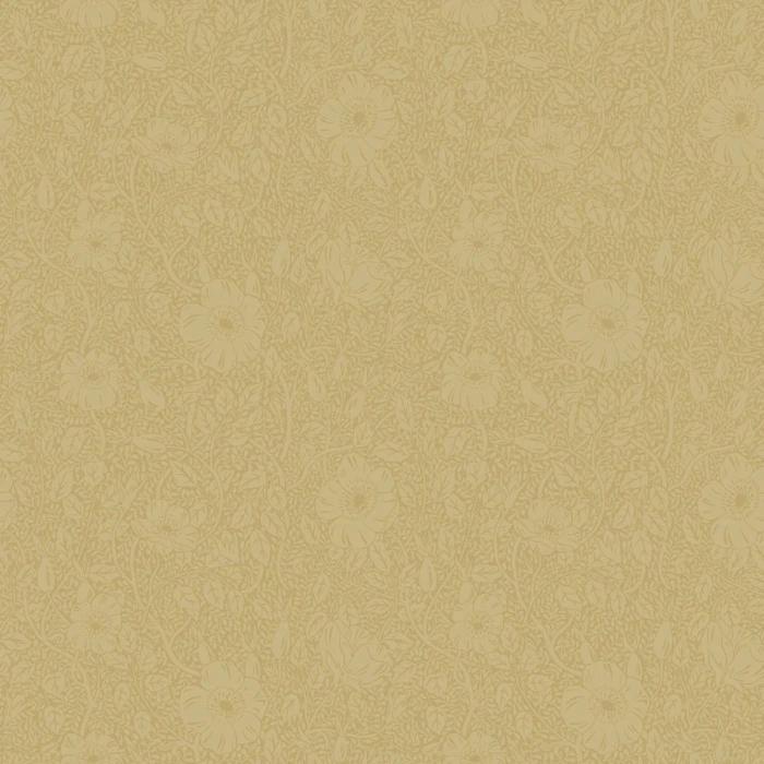 909bee46e21aef2f824f02ff798432cf