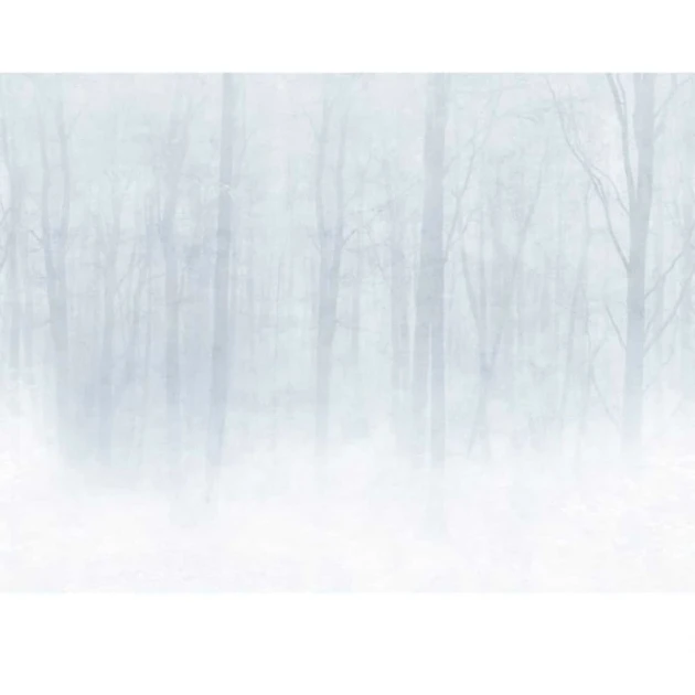 Tapeta Sandberg 622-18 Vinterskog Grey