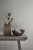 a034366df5e351a9d6fdce1d25de5a14