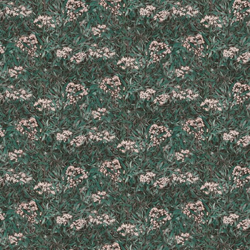 13ce0f76c0441abb456477f488a9aecc
