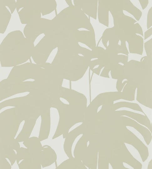 Tapeta Scion Nuevo Arizona 111823