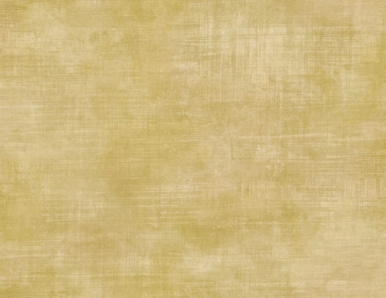 99dce8b78c5d58cd0fcc4cd3acf05c43