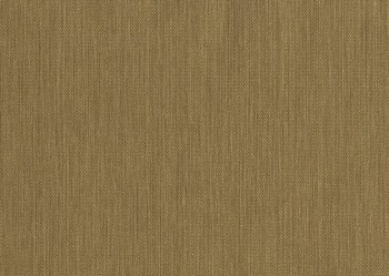 2e971ae7174928c0fd62e634abcc3ab1