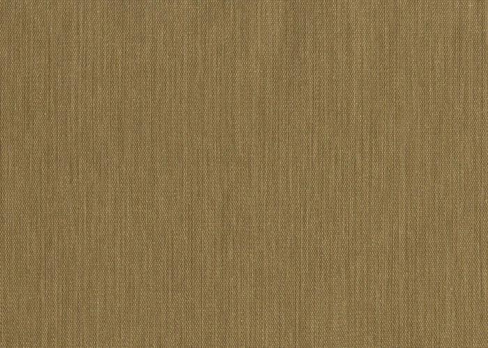 2e971ae7174928c0fd62e634abcc3ab1