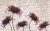 cd48e0998fe800780ae05c9ab3f7d433